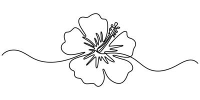 Hibiscus flower continuous one line drawing style, Black line sketch on white background, illustration, Hibiscus flower, Floral abstract symbol in simple linear style vector
