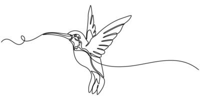 Continuous one line drawing of flying hummingbird, One line drawing illustration of colibri, Flying animal concept Single line, Editable outline. vector