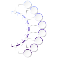 Modern circle infographic template with 8 steps, process or options. png
