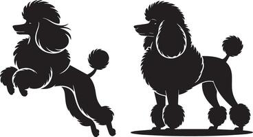 Poodle Dog Silhouettes in Motion and Standing Pose Art vector