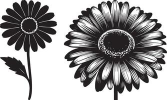 Gerbera Daisy Flower Silhouette Illustration vector
