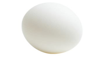 White egg resting on a smooth surface with even lighting and a plain background png