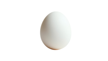 Simple white egg resting on a clean surface with natural lighting in a minimalistic setting png