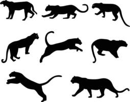 Set of leopard silhouette illustration in various pose vector