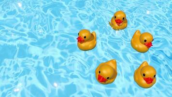 Loop Rubber Ducks Joyfully Floating in an Inviting Pool of Water video