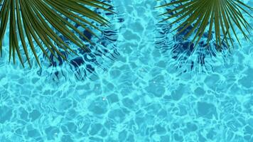 Palm leaves above pool loop 3D animation video