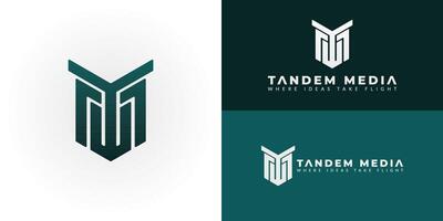 The unique logo design with the initials TM within a modern geometric crest. Designed for the Technology and Software sector, it represents professionalism, advanced development, and secure solutions. vector