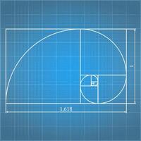 Golden proportion on blueprint vector