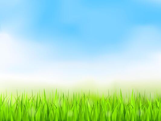 Green grass and blue sky, summer background, gradient mesh