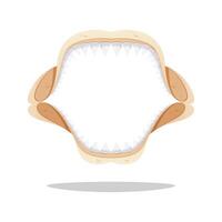 Simple shark jaw skeleton isolated on white background. vector
