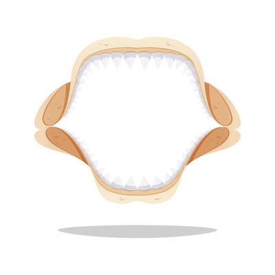 Simple shark jaw skeleton isolated on white background.