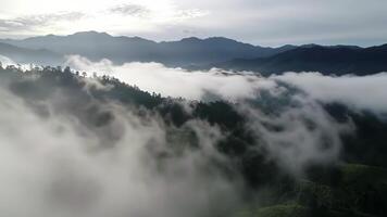 Aerial View of Clouds Flowing Over Mountain Range Landscape video