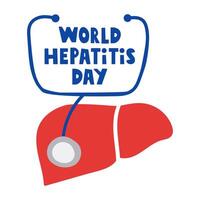 Stethoscope and liver. World hepatitis day. Flat illustration on white background. vector