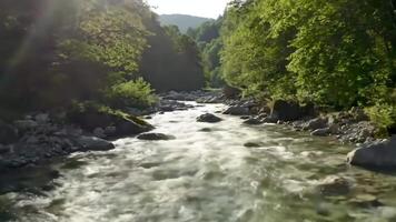 River Flowing Through Green Forest Landscape video