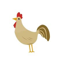 Colorful illustration of a chicken with simple and playful design. Great for educational content, animal collections, prints, or agriculture themes vector