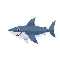 A cartoon shark illustration with a big smile and sharp teeth, in a simple style. Ideal for ocean themes, educational content, or fun marine character sets vector