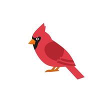 A vibrant red cardinal bird in a modern flat design style. Ideal for winter themes, holiday decor, and birdwatching graphics vector