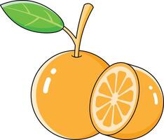 orange fruit vectors