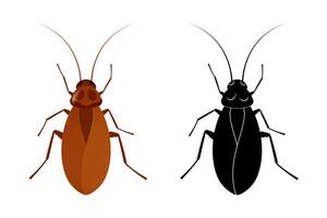 Cockroach insect and its silhouette isolated on white background vector