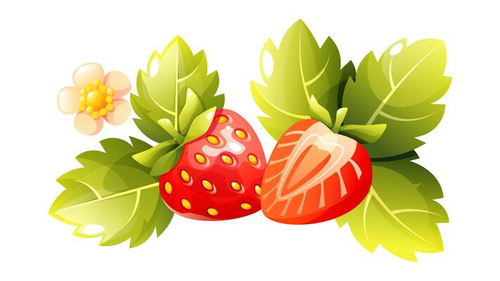 The illustration features two ripe strawberries surrounded by green leaves and a delicate flower. One strawberry is whole, while the other is cut in half.