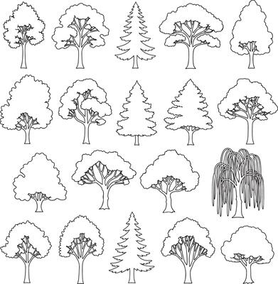 Palm, Pine, and Deciduous Tree Silhouettes Clean Icons for CAD Landscape Drawings and Outdoor Design Plans