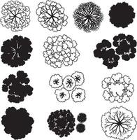 Overhead Tree Icons Circular Top View Trees for CAD, Garden Planning, and Urban Landscape Layouts vector