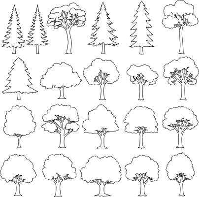Silhouettes of Trees Palm, Conifer, and Deciduous Tree Graphics for Landscape Design and Architecture