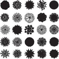 Circular Tree Top View Set Foliage Symbols for Landscape Plans, Architecture Blueprints, and CAD Projects vector