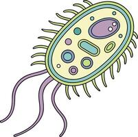 bacteria cell structure with flagella microorganism biology science under microscope vector
