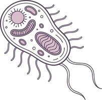 bacteria cell structure biology microbe microorganism science health germ outline drawing vector
