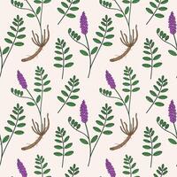 Licorice herbaceous plant seamless pattern. Hand drawn botanical repeating background with medical aromatic branch Glycyrrhiza echinata, liquorice. Rapport for design, print, textile, wrapping vector