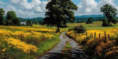 Vibrant wildflower landscape with a winding road and distant mountains under a cloudy sky photo