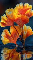 Vibrant orange and yellow foliage reflects beautifully in tranquil water during sunset hours photo