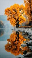 Autumn foliage reflects on calm river in serene landscape during early morning light photo