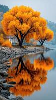 Vibrant autumn trees reflected in calm river waters under a gray sky in a tranquil landscape setting photo