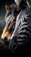 Close encounter of a zebra and a horse showcasing distinctive features in a natural setting photo