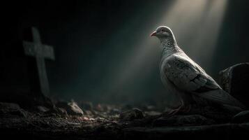 Pigeon perched in a dark cemetery illuminated by soft beams of light during twilight hours photo