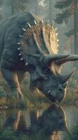 Majestic triceratops grazing near a tranquil pond in a misty prehistoric forest photo