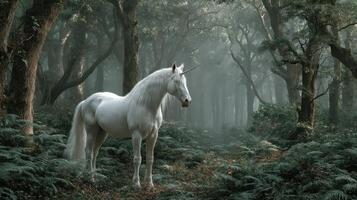 Majestic white unicorn standing in a mystical forest surrounded by lush greenery and misty light at dawn photo