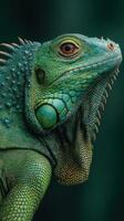 Close-up view of a vibrant green iguana showcasing intricate details of its scales and unique coloration in a dark background photo