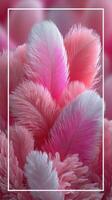 Vibrant pink feathers arranged beautifully in a soft and textured display photo