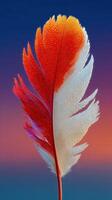 Vivid feather with colorful droplets against a gradient background during twilight photo