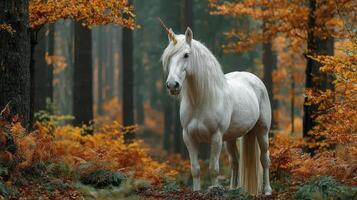 Majestic white unicorn standing gracefully among vibrant autumn foliage in a misty forest landscape during early morning light photo