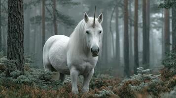 Magical white unicorn standing in a misty forest surrounded by tall trees during early morning light photo