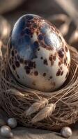 Quail egg nestled in a natural nest surrounded by soft grains and subtle textures during a warm daylight setting photo