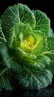 Freshly harvested green cabbage with water droplets resting on its leaves arranged for a vibrant display photo