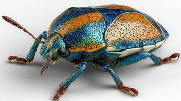 Colorful beetle with striking patterns resting on a flat surface in a controlled environment photo
