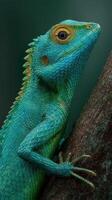 Colorful lizard perched on tree trunk showcasing vibrant scales in tropical environment photo