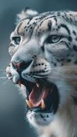 Snow leopard roaring in a majestic landscape showcasing its striking features and fierce demeanor photo