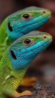 Brightly colored lizards basking in the sunlight in a natural habitat with rich textures and vibrant scales photo